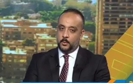 المتحف المصري الكبير: إسهام أحمد حمدي في جعل مصر وجهة عالمية للباحثين وقبلة خالدة في التاريخ