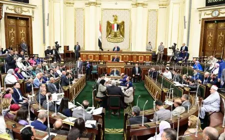 تعرف على موعد انتخابات مجلس النواب والخريطة الزمنية للتصويت محلياً ودولياً