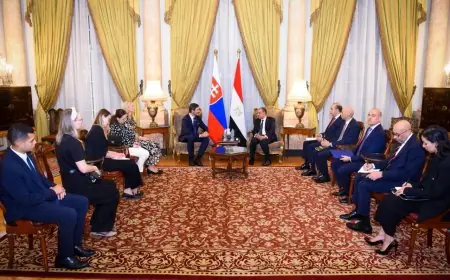 بدر عبد العاطي يعبر عن تقديره للمساعدات الإنسانية المقدمة من سلوفاكيا لغزة