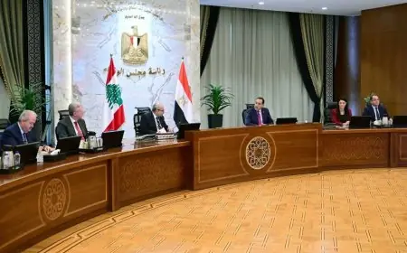 اجتماع اللجنة المصرية اللبنانية برئاسة رئيسي حكومتي مصر ولبنان لبحث التعاون المشترك