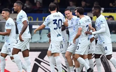 فيديو: هدف الجولة الساحر يضيء انتصار إنتر ميلان ضد فيرونا