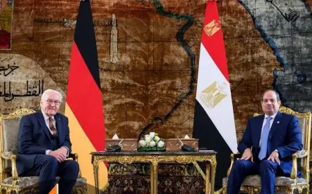 الرئيس السيسي يلتقي الرئيس الألماني لتعزيز التعاون المشترك بين البلدين