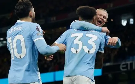 إيرلينغ هالاند يُعادل إنجاز فاولر ويقترب من تحطيم رقم لويس سواريز التاريخي