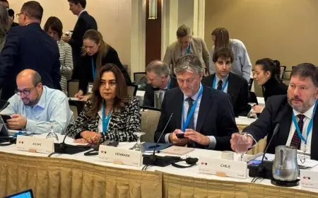 التنمية المحلية تكشف عن تقدم مصر في تحقيق أهداف المناخ