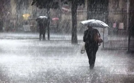 توقعات الطقس: غيوم وأمطار مرتقبة في عدة مناطق