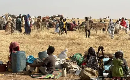 سباق السيطرة يحتدم: هل تواجه شمال كردفان مصير دارفور؟