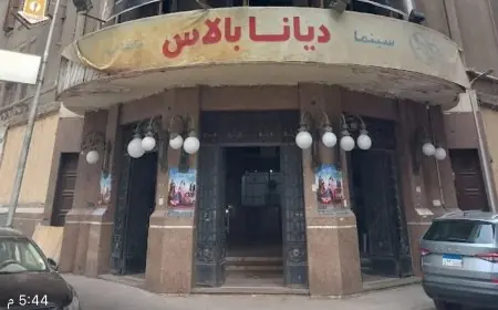 وزير الثقافة يزور سينما ديانا بوسط البلد ويوجه بخطة تطوير شاملة لرفع كفاءتها