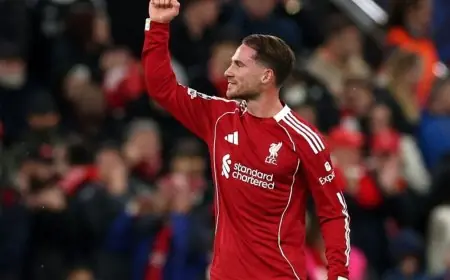 رأسية ماك أليستر تقود ليفربول لانتصار مثير أمام ريال مدريد