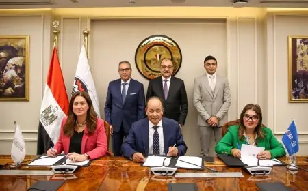 مصر تشهد توقيع عقد لتمويل أول مصنع لإنتاج أقراص وحبيبات الكلور