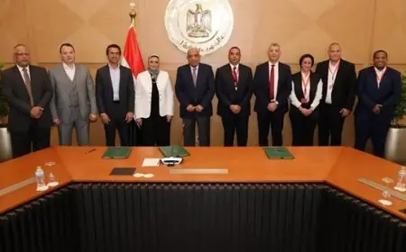 الكهرباء تسعى لرفع حصة الطاقة المتجددة في الشبكة القومية إلى 42 بالمئة