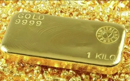 البنك المركزي يشتري 39 طناً من الذهب في سبتمبر وفقاً لمجلس الذهب العالمي