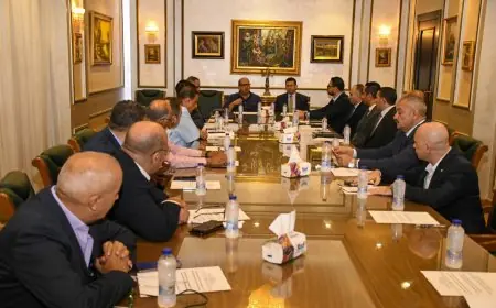 وزارة الرياضة واللجنة الأولمبية يشكلان وفدًا قانونيًا مشتركًا لتوضيح القانون الجديد