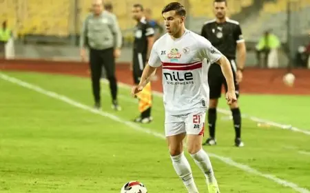 ميشالاك يرفض التفاوض حول مستحقاته المالية مع الزمالك
