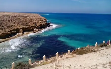 تعرف على تفاصيل مشروع تطوير منطقة علم الروم وإنشاء منطقة عمرانية متكاملة مع مدبولي