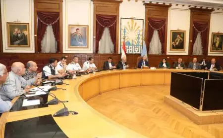 محافظ القاهرة يؤكد على تعزيز الانضباط وتنظيم الميادين وتحسين المواقف النموذجية