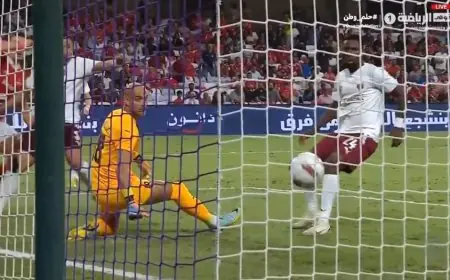 جراديشار يسجل الهدف الثاني للأهلي ضد سيراميكا كليوباترا في مباراة مثيرة