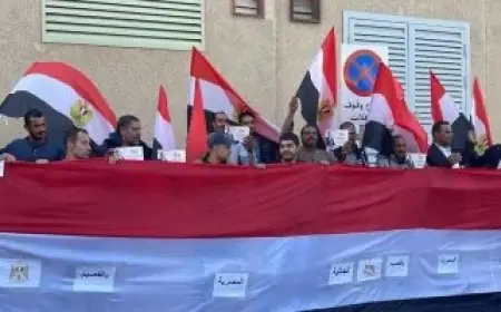 انتخابات المصريين بالخارج: نموذج مشرف للعالم في البرلمان