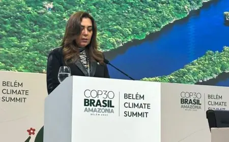 د. منال عوض تلقي كلمة مصرية مؤثرة في قمة القادة خلال مؤتمر المناخ COP30 بالبرازيل