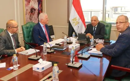 وزير الكهرباء يعلن عن استثمارات جديدة محلية وأجنبية لتطوير منظومة الكهرباء وتحقيق التحول الطاقي