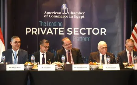 وزير المالية يعلن عن إطلاق الحزمة الثانية من التسهيلات الضريبية في نوفمبر الجاري