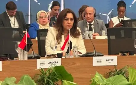 وزيرة التنمية المحلية تشارك في قمة المناخ برئاسة الرئيس البرازيلي لتعزيز الجهود البيئية