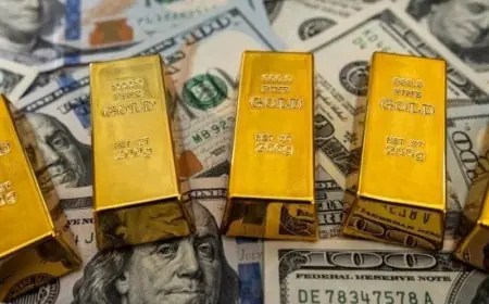 الاستقرار يعم “الأصفر” و”الأخضر”.. أسعار الذهب والدولار اليوم السبت 8 نوفمبر 2025