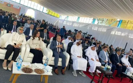 وزير الصناعة يكشف عن مشروع إنشاء أكبر مزرعة نخيل عالمية بسعة 2.3 مليون نخلة في توشكى والعوينات