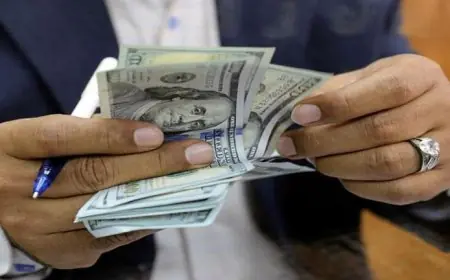 تحديث جديد لأسعار الدولار مقابل الجنيه في بداية تعاملات الأحد