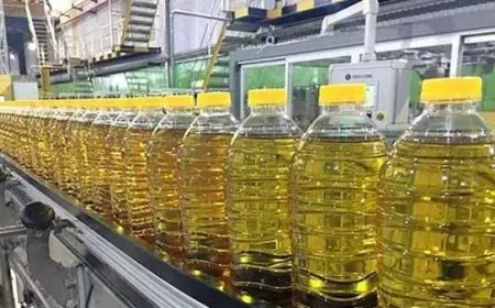 شعبة المواد الغذائية تعلن عن إصدار عبوة زيت جديدة في التموين بسعر 56 جنيهًا اعتبارًا من ديسمبر