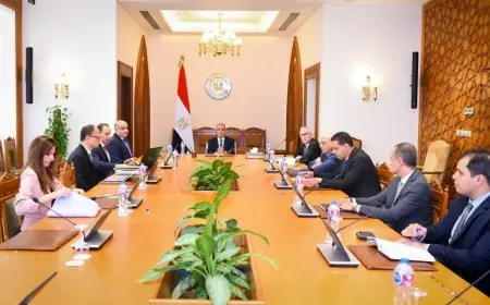 وزير الخارجية يقود مشروع تحويل الوثائق التاريخية إلى الرقمية وتحديثها الشامل