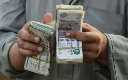 كيفية الاستعلام الإلكتروني عن قيمة قبض معاشات ديسمبر 2025 وخطوات موعد الصرف