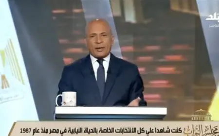 كيف تصوت في انتخابات مجلس النواب 2025 خطوة بخطوة