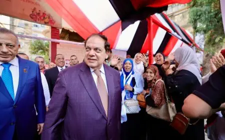 أبو العينين يقوم بجولة تفقدية في لجان انتخابات محافظة الجيزة لتعزيز العملية الديمقراطية