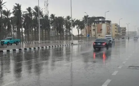 الأرصاد تحذر: موجة برد وشبورة كثيفة تؤثر على طقس الثلاثاء