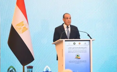 وزير الخارجية يفتتح فعاليات منتدى التجارة والاستثمار المصري الخليجي في القاهرة