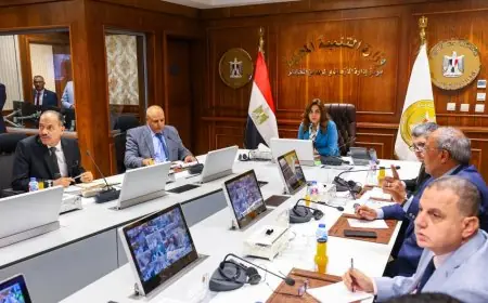 وزيرة التنمية المحلية تدعو المحافظين لمواصلة مراقبة سير العملية الانتخابية