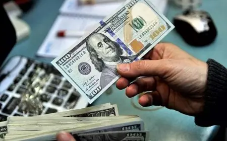 التحديث اليومي لسعر الدولار الإثنين 10 نوفمبر 2025 بعد الانخفاض الأخير