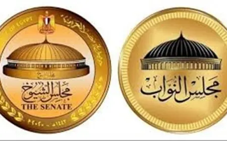 تخصيص 4 دوائر انتخابية لـ 24 مقعدًا في مجلس النواب بمحافظة أسيوط