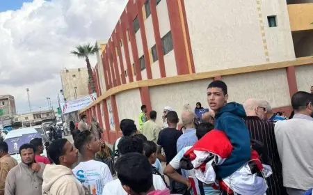 هتافات تحيا مصر تضفي أجواء وطنية على انتخابات مجلس النواب 2025