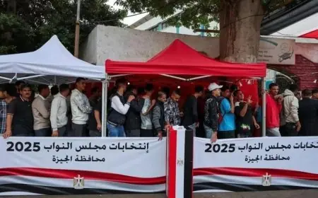 إشادة واسعة من المجتمع الدولي بنزاهة الانتخابات البرلمانية المصرية لعام 2025