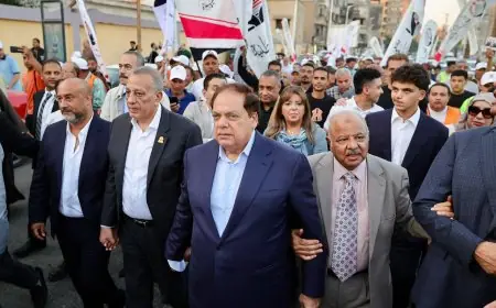 اكتشف كيف يبني أبو العينين شعبية جارفة في خدمة وطنه بمعايير أحمد موسى