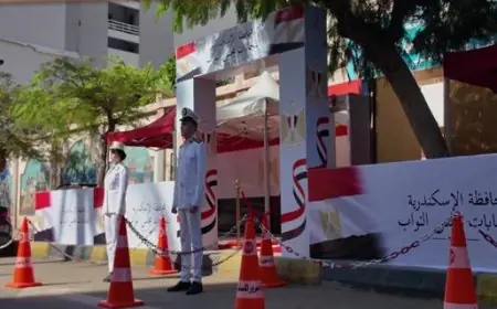 إغلاق لجان انتخابات مجلس النواب في البحيرة: تفاصيل شاملة