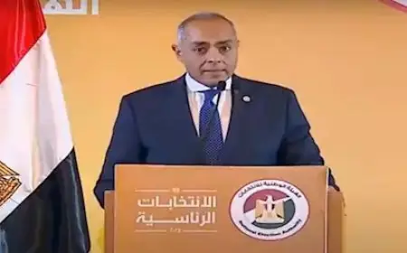 القاضي أحمد بنداري يتابع إغلاق اللجان الانتخابية في 14 محافظة