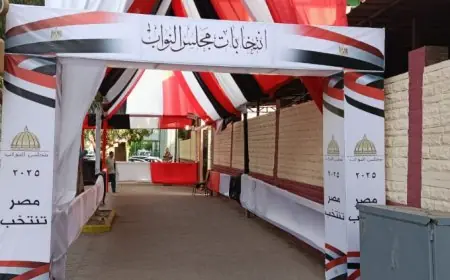 متابعة فورية من التنمية المحلية لعملية الانتخابات دون معوقات خلال يومي التصويت