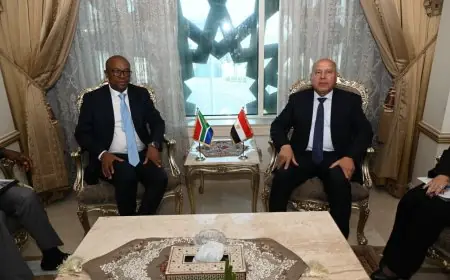 كامل الوزير يجتمع بوزير الصناعة الجنوب إفريقي لتعزيز التعاون الاقتصادي