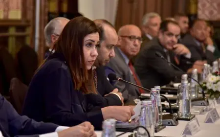 الهيئة العامة للتأمين الصحي تعزز التعاون المصري الهندي عبر مشاركتها في حلقة نقاشية