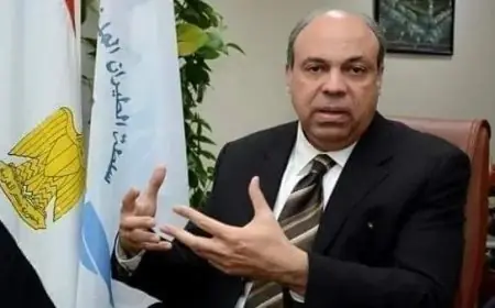 وزير الطيران يؤكد: التكامل العالمي في قطاع الطيران يعزز استدامة وكفاءة صناعة النقل الجوي