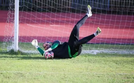 الإصابة الخامس تغيب زيدان عن مباراة الجزائر والسعودية