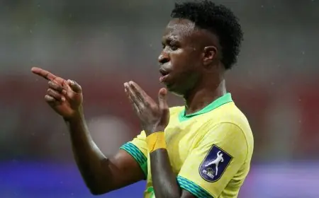 فينيسيوس يكشف: لماذا يستحق أنشيلوتي مكافأة خاصة من نجوم البرازيل؟
