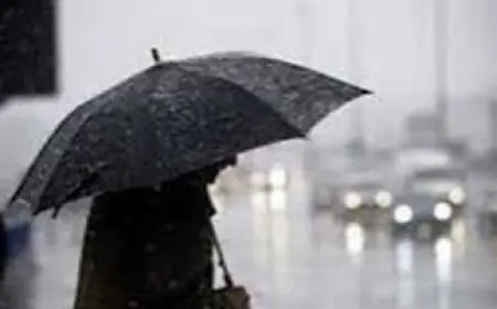 طقس غير مستقر يضرب البلاد غدًا الخميس الأرصاد الجوية تكشف التفاصيل